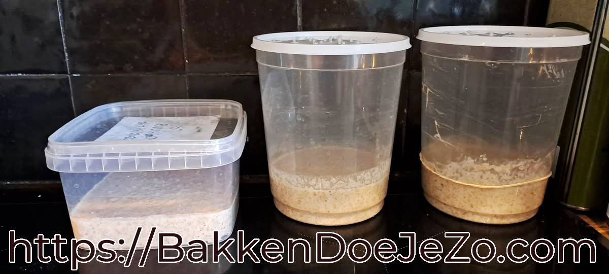 Twee potjes SummerDesem starter met elastiekjes om de rijs te volgen + links potje met 200g desem-afname