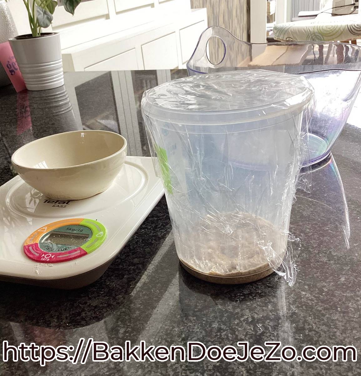 Allereerste voeding met 50 g roggemeel en 50 g water in plastiek potje voor summerdesem workshop Robert Boelaert
