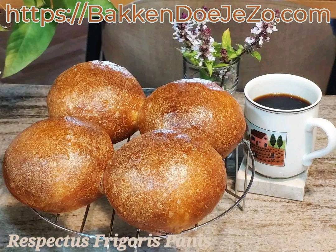 Vier goudbruine no-knead broodjes op rooster — klaar voor koffie en sandwiches.