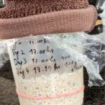 SummerDesem starter op zijn piekmoment met elastiekje rond het potje – recept van Robert Boelaert, Foto Ann Vanhaverbeke uit de Facebook groep Bakken Doe Je Zo