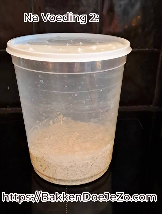 Tweede voeding van de SummerDesem starter met roggemeel en water