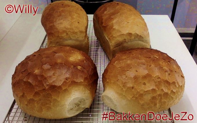 Vers gebakken wit busbrood en rond brood – recept per kilo bloem
